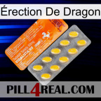 Érection De Dragon new05
